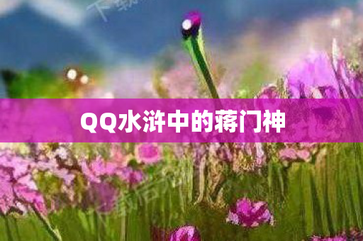 QQ水浒中的蒋门神图片