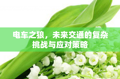 未来交通的复杂挑战与应对策略图片