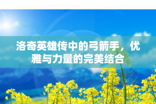 洛奇英雄传中的弓箭手图片