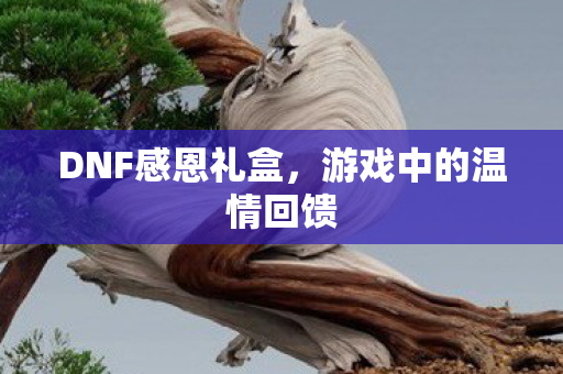 游戏中的温情回馈图片