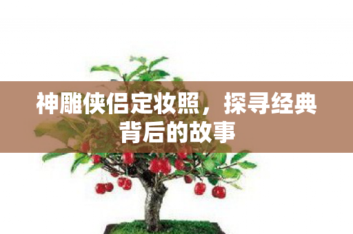 探寻经典背后的故事图片