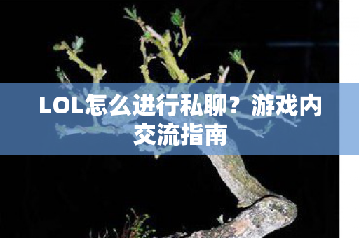 LOL怎么进行私聊图片