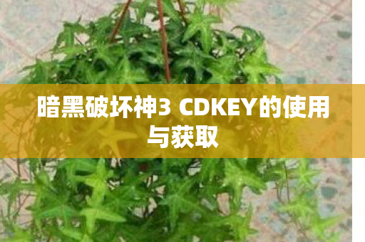 暗黑破坏神3 CDKEY的使用与获取图片