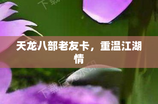 天龙八部老友卡图片