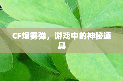 游戏中的神秘道具图片