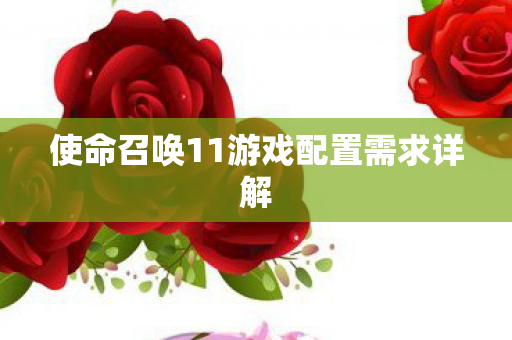 使命召唤11游戏配置需求详解图片