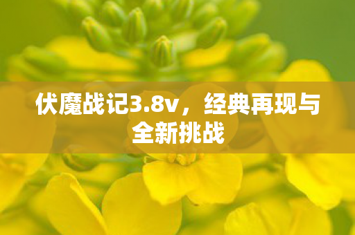 经典再现与全新挑战图片