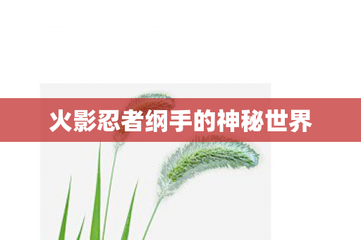 火影忍者纲手的神秘世界图片