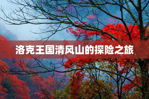 洛克王国清风山的探险之旅图片