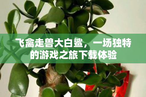 一场独特的游戏之旅下载体验图片
