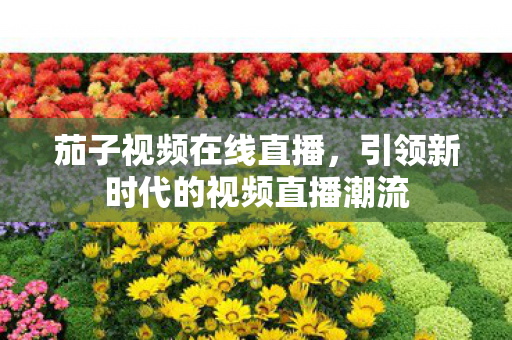 引领新时代的视频直播潮流图片