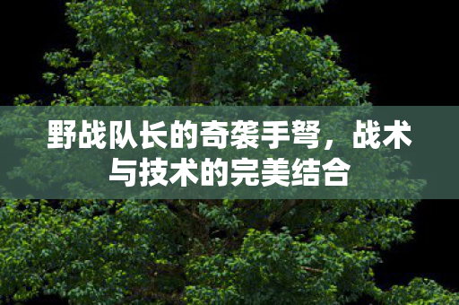 战术与技术的完美结合图片