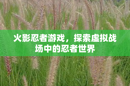 探索虚拟战场中的忍者世界图片