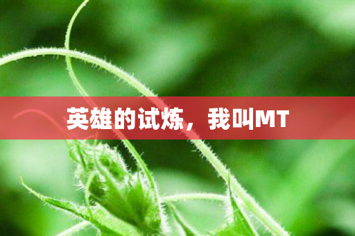 英雄的试炼图片