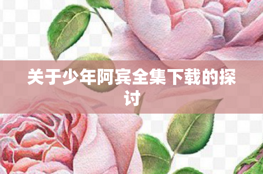 关于少年阿宾全集下载的探讨图片