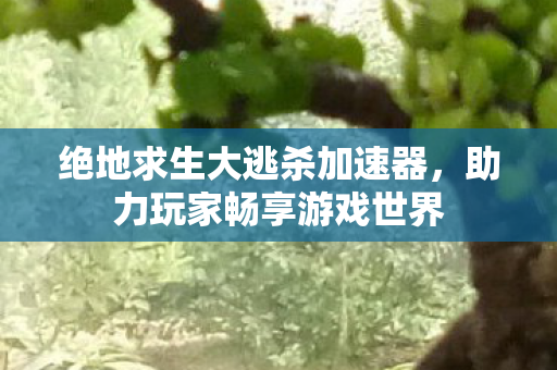 绝地求生大逃杀加速器图片