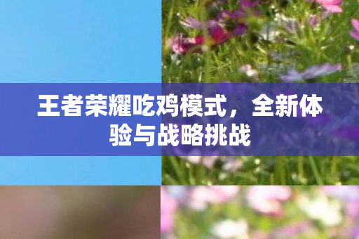 全新体验与战略挑战图片