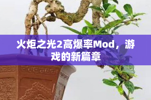火炬之光2高爆率Mod图片