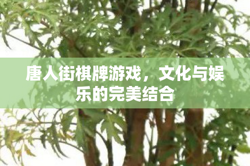文化与娱乐的完美结合图片