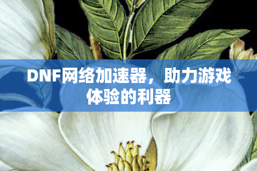 助力游戏体验的利器图片
