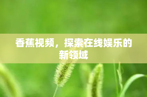 探索在线娱乐的新领域图片