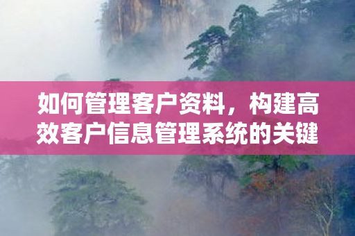 构建高效客户信息管理系统的关键步骤图片