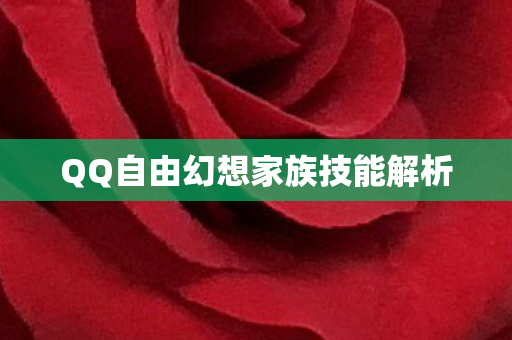 QQ自由幻想家族技能解析图片