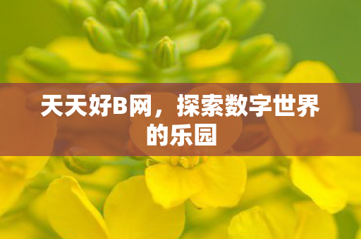 探索数字世界的乐园图片