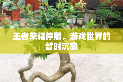 游戏世界的暂时沉寂图片