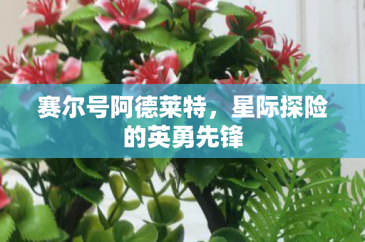 星际探险的英勇先锋图片