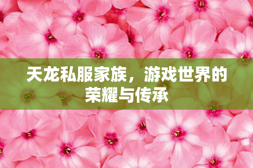 游戏世界的荣耀与传承图片