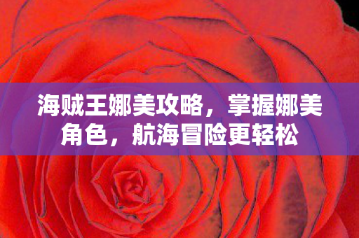 海贼王娜美攻略图片