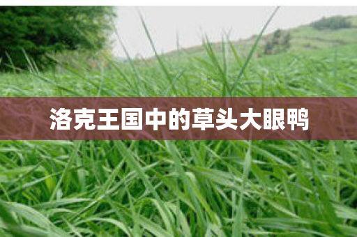 洛克王国中的草头大眼鸭图片