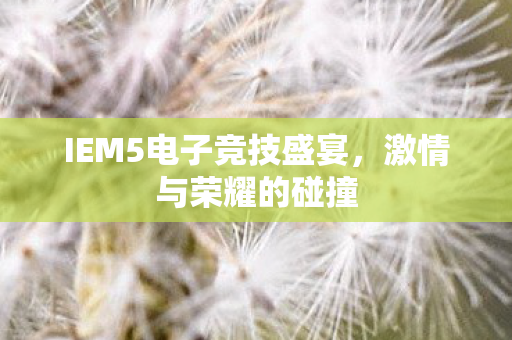 IEM5电子竞技盛宴图片