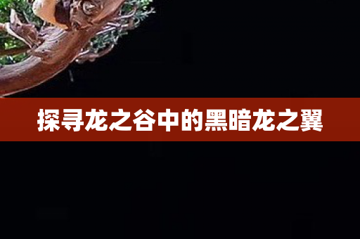探寻龙之谷中的黑暗龙之翼图片