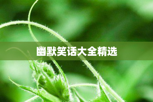 幽默笑话大全精选图片