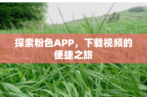 下载视频的便捷之旅图片