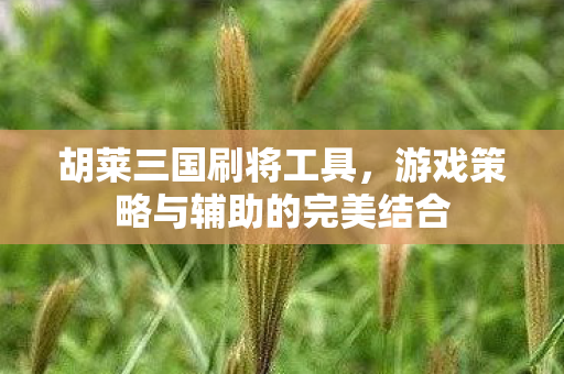 游戏策略与辅助的完美结合图片