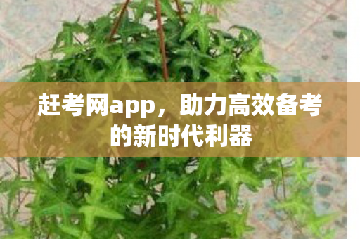 助力高效备考的新时代利器图片