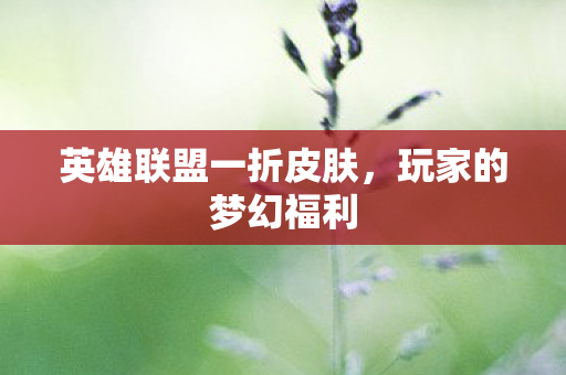 英雄联盟一折皮肤图片