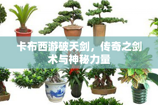 传奇之剑术与神秘力量图片
