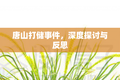 深度探讨与反思图片