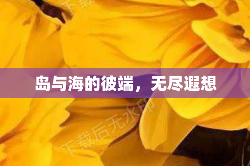 岛与海的彼端图片