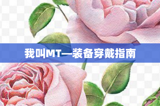 装备穿戴指南图片