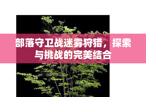 探索与挑战的完美结合图片