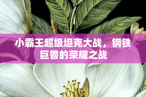 小霸王超级坦克大战图片