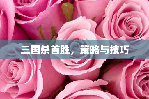 三国杀首胜图片