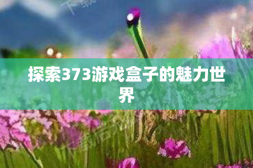 探索373游戏盒子的魅力世界图片