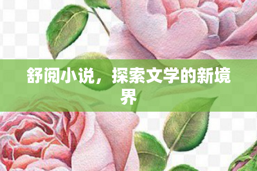 探索文学的新境界图片