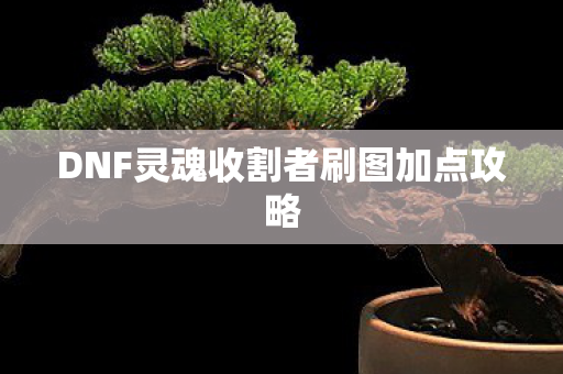 DNF灵魂收割者刷图加点攻略图片